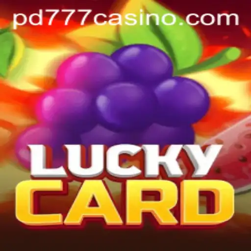LuckyCard: A Thrilling Game Experience with PD777